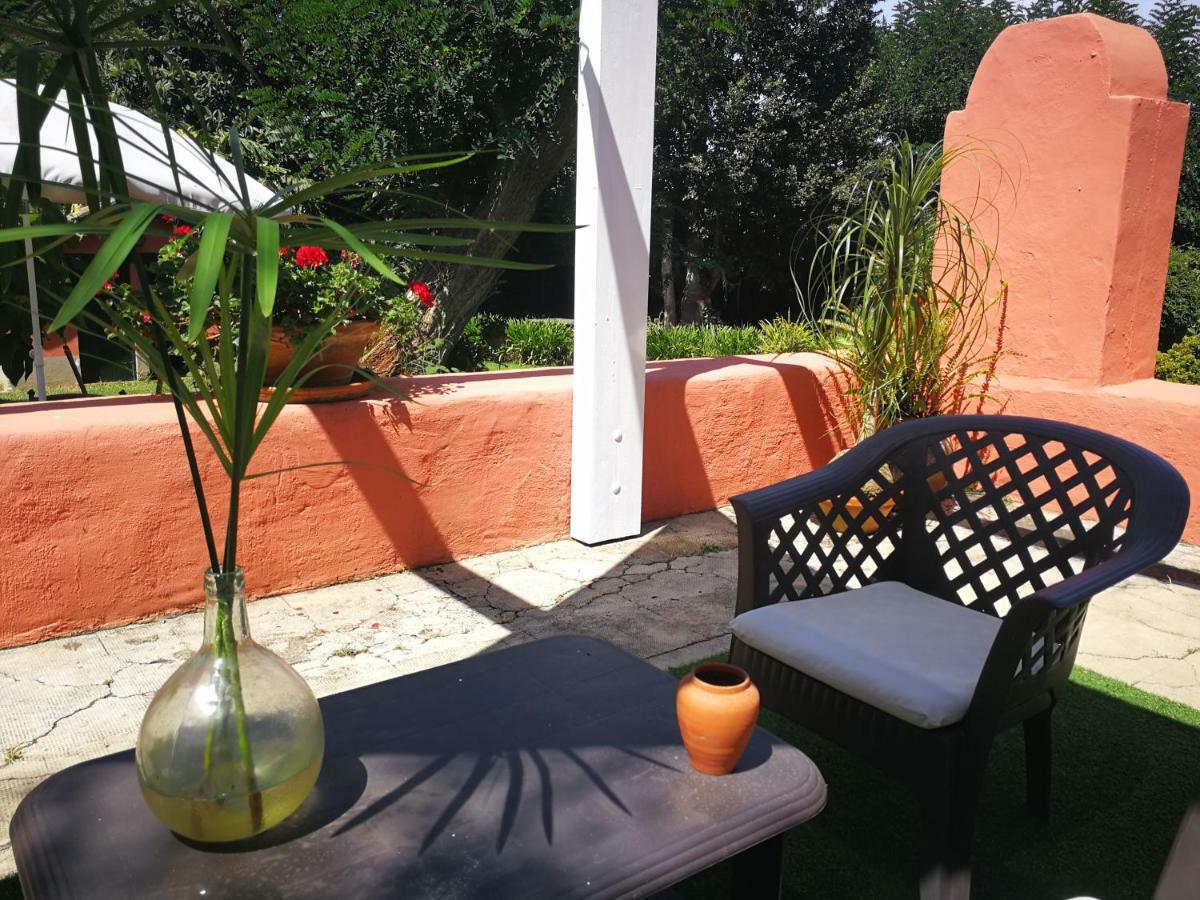Jardines De Hortensia - Vacation Home Tenerife La Laguna  Exterior foto